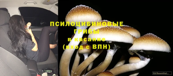 соль курить ск Майский