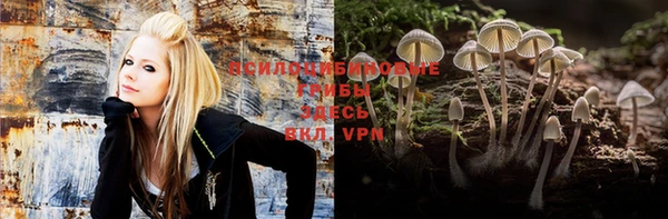 меф Белокуриха